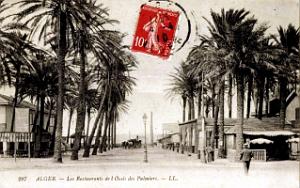 Alger - Oasis des Palmiers - Restaurants - 1910